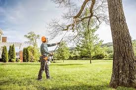 Best Soil Testing and Treatment  in Ferndale, CA